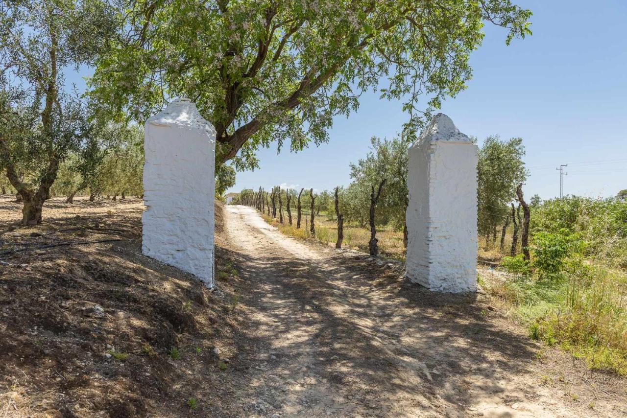 Hacienda San Antonio Villa Марчена Екстериор снимка